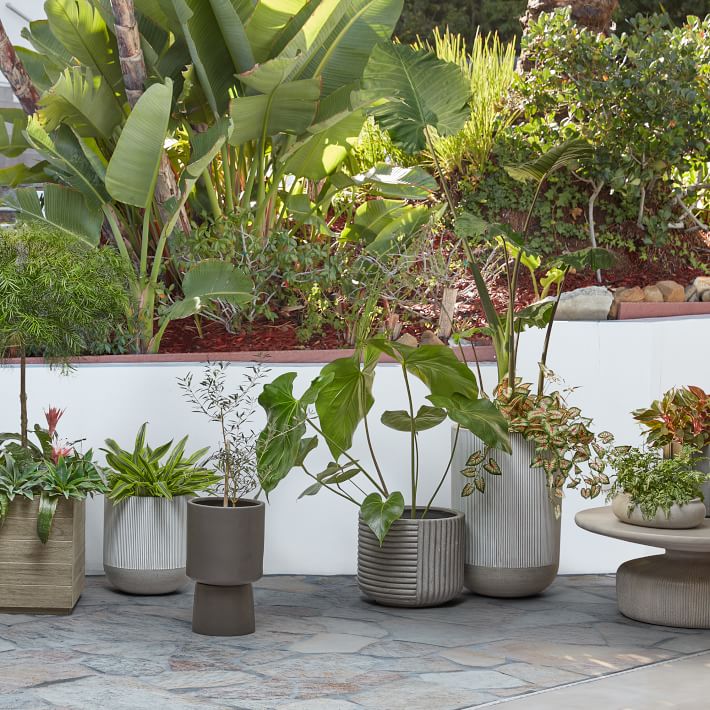 Outdoor Planters/Indoor Planters