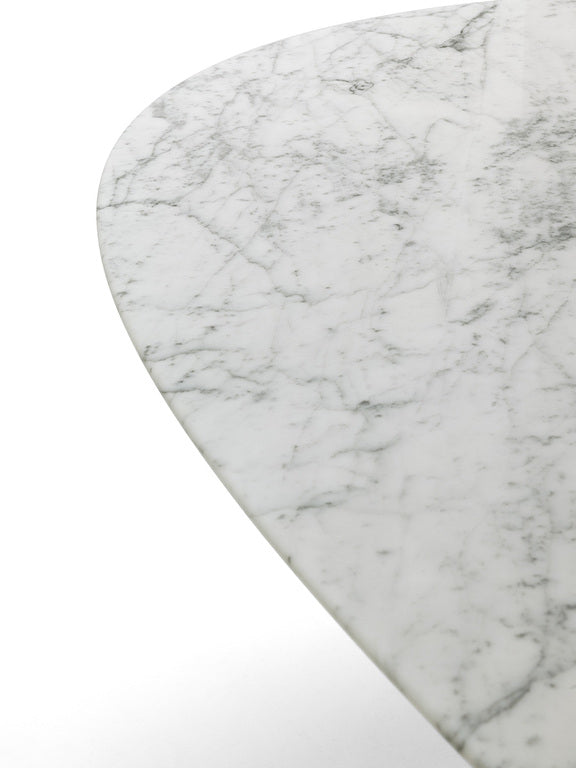 Poltrona Frau MESA ELLIPSE