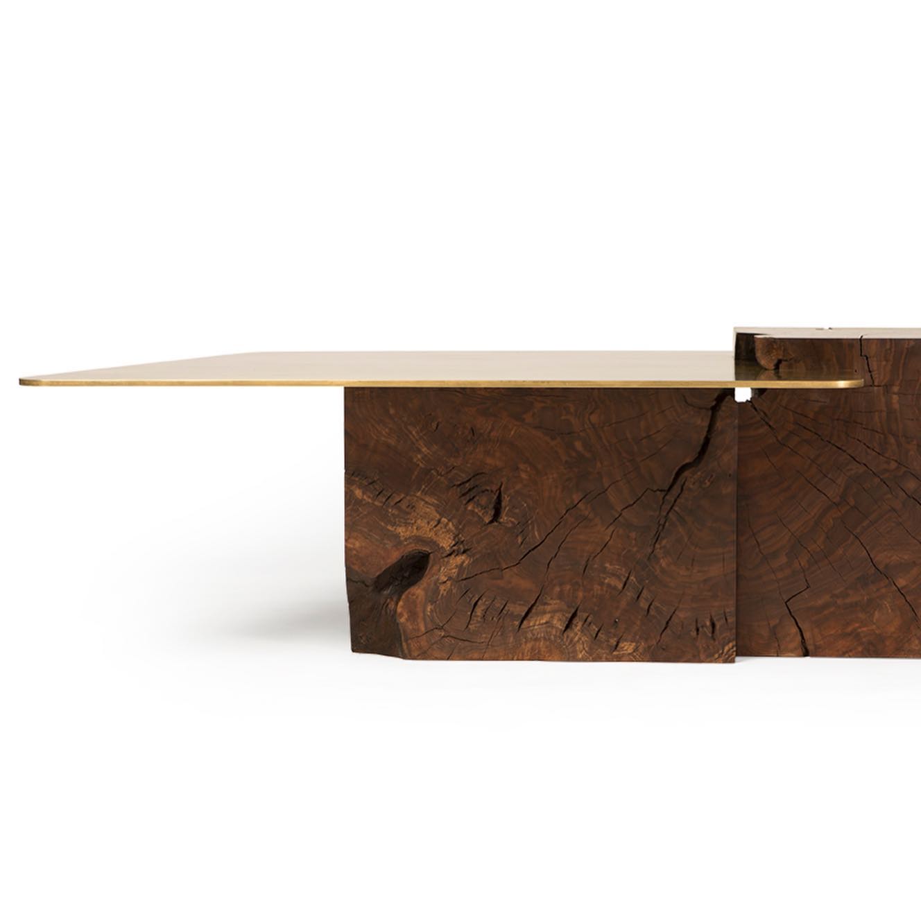 Rosewood block slammed Brass coffee table