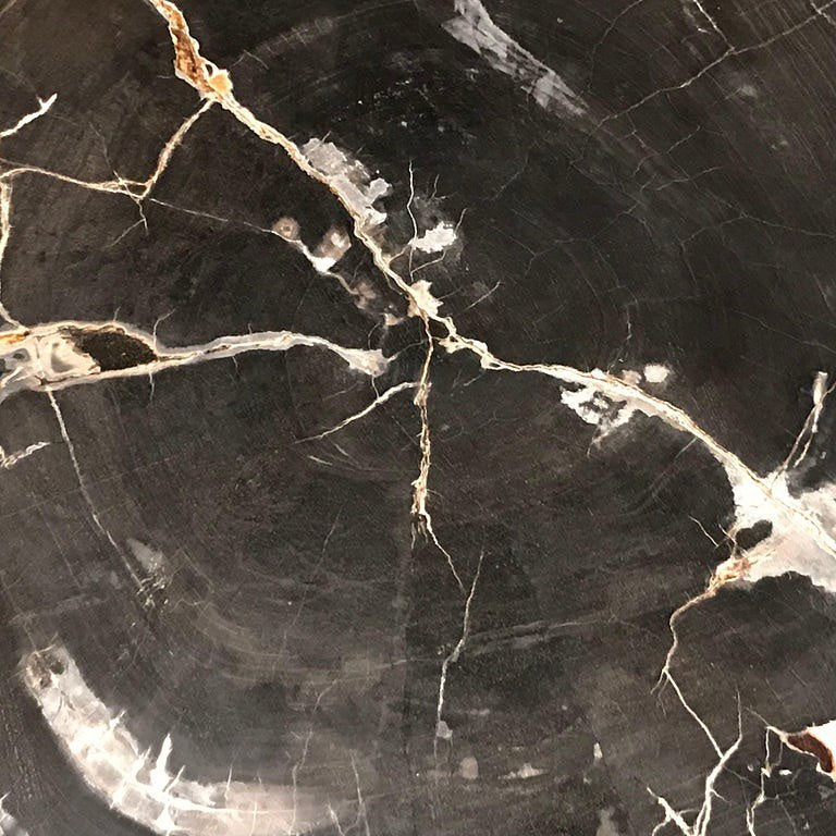 Petrified Black & Gold Coffee Table
