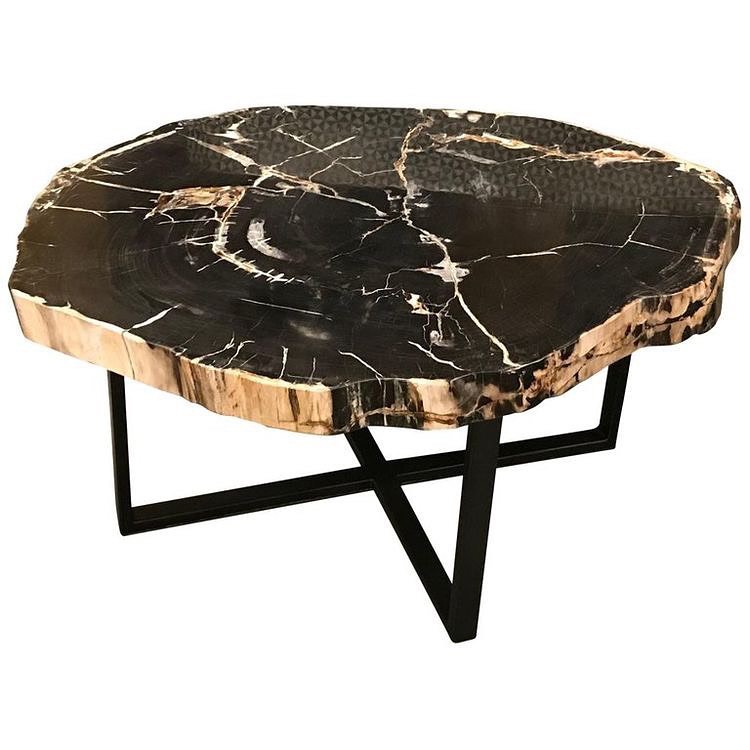 Petrified Black & Gold Coffee Table